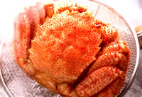 �уK�j